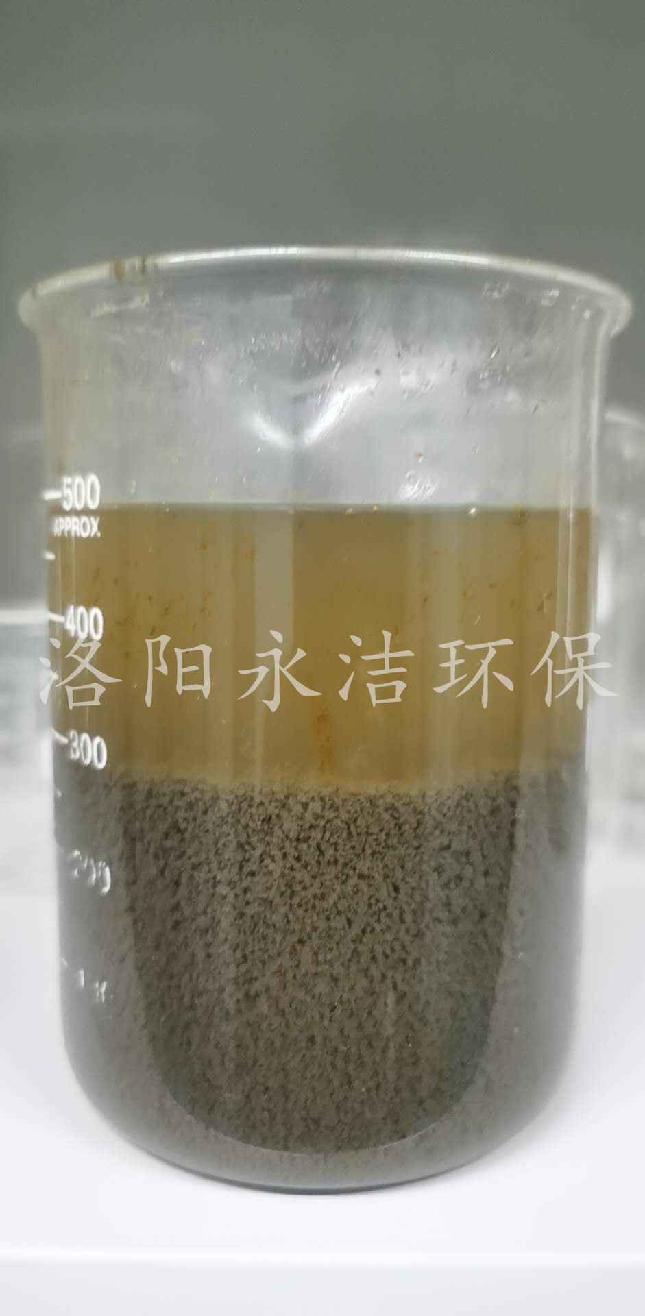 實驗展示 實驗展示